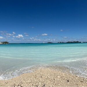 Meet your Posher, PA.